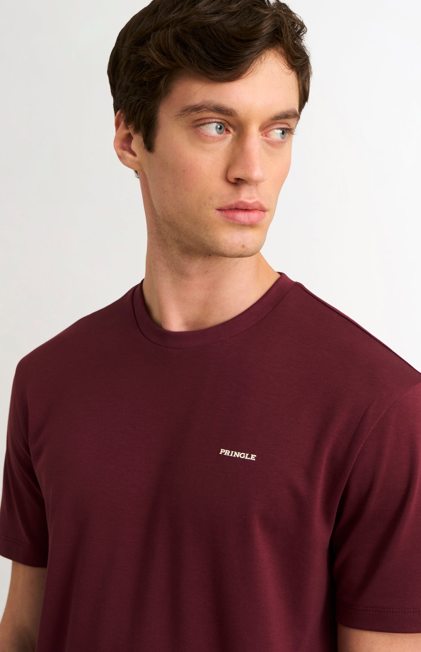 Men's Heavweight Long Staple Cotton T-shirt In Burgundy