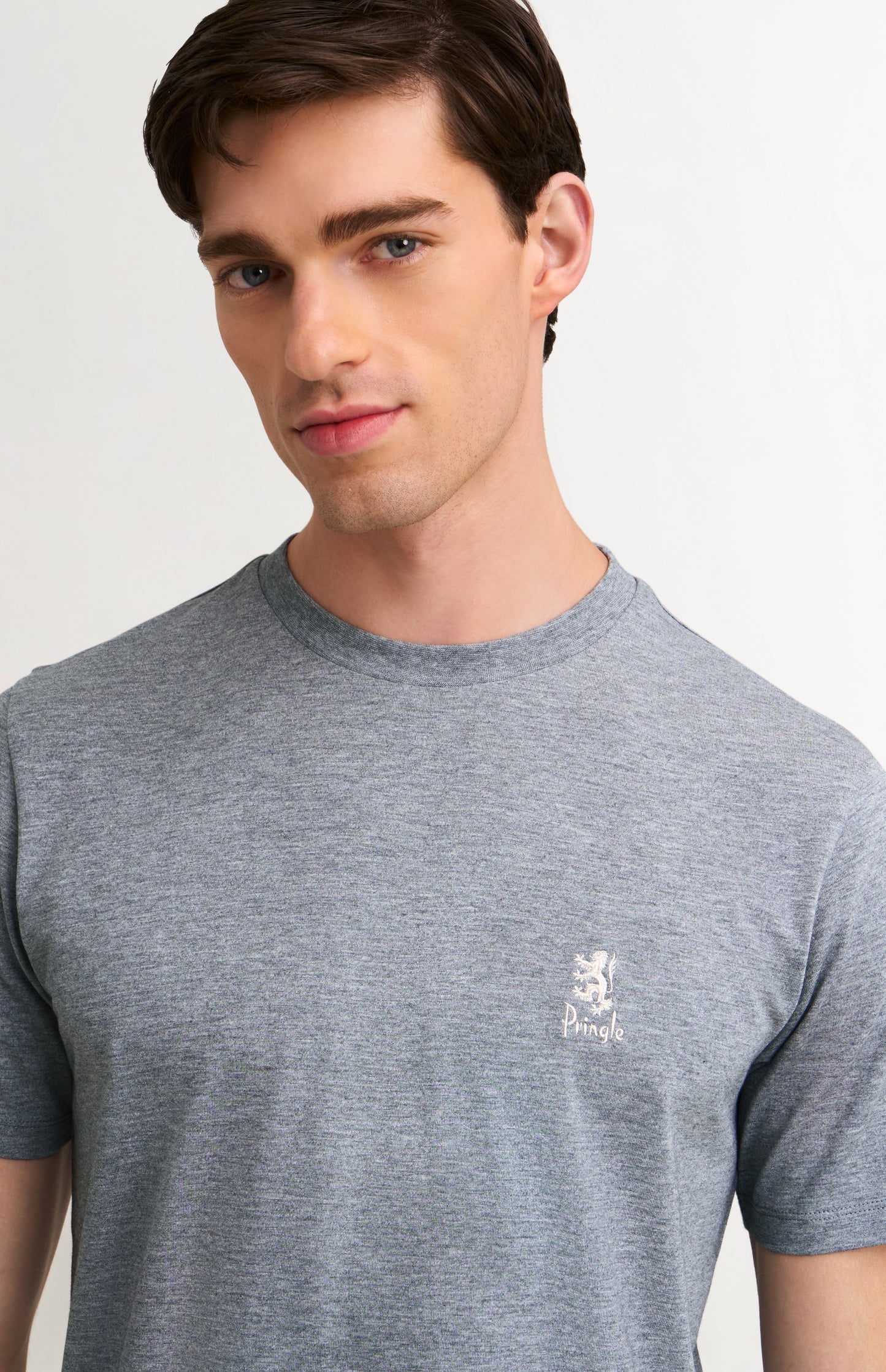 Men's Mid-weight Supima Cotton T-shirt In Grey Melange